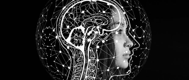 brain map